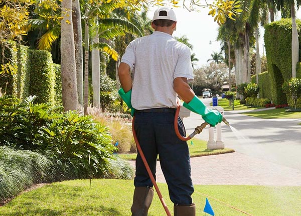About Uniontown KY Pest Control